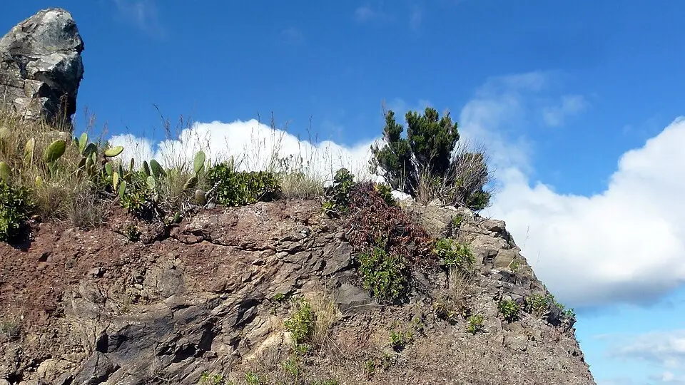 Pico do Facho