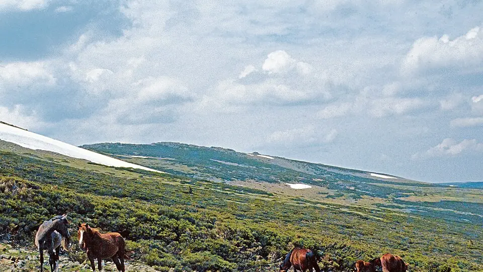 Puerto del Reventón