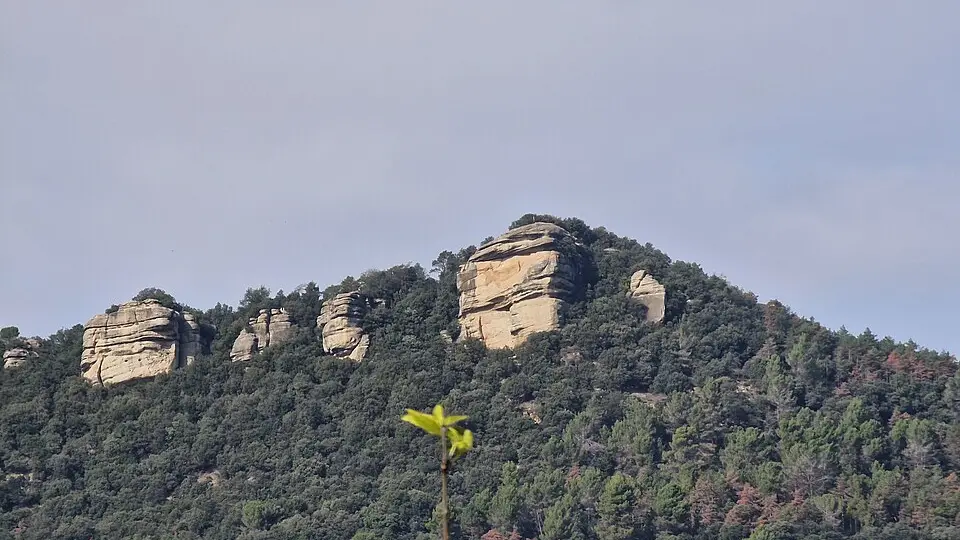 Puig del Far