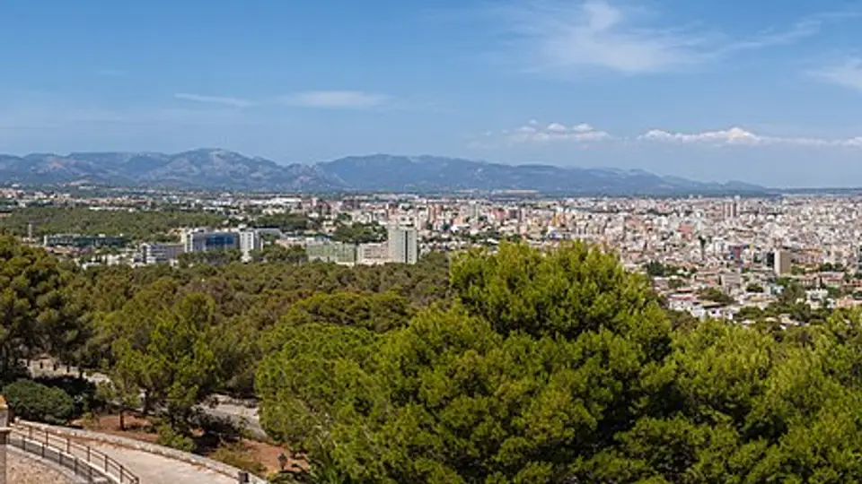 Palma