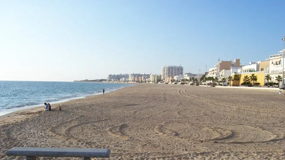 Rota
