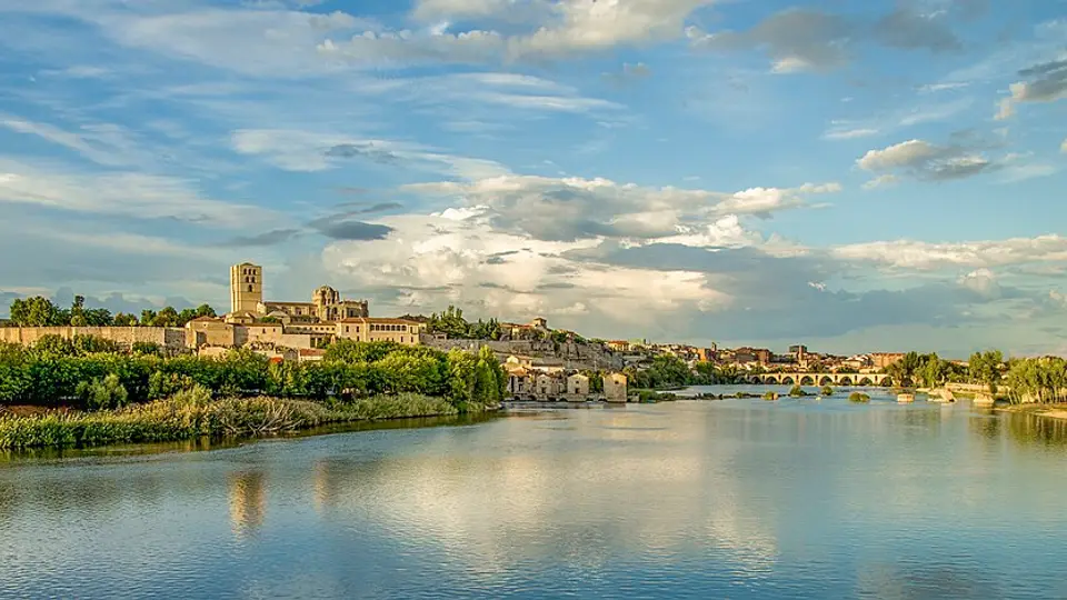Zamora